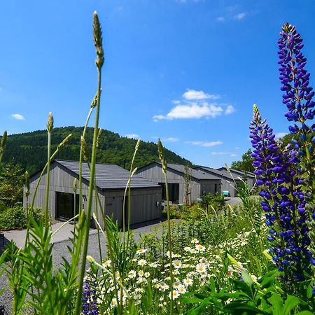 Sauerland Lodge - Haus Maxim Винтерберг Экстерьер фото