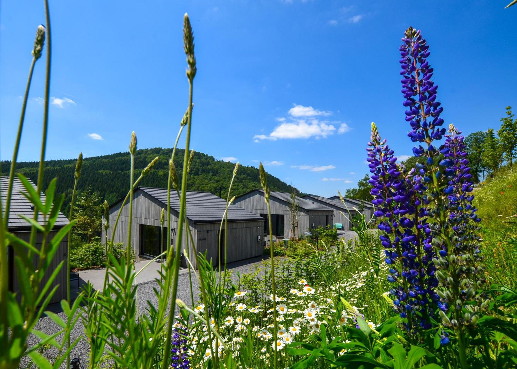 Sauerland Lodge - Haus Maxim Винтерберг Экстерьер фото